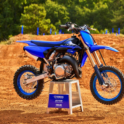 YZ65 -2023