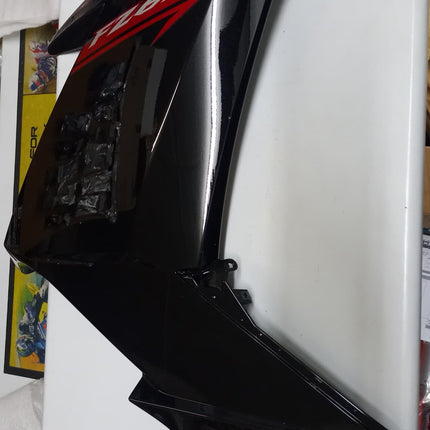 PANEL ASSEMBLE  YAMAHA FZ6R 2009
