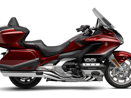 THE GOLDWING