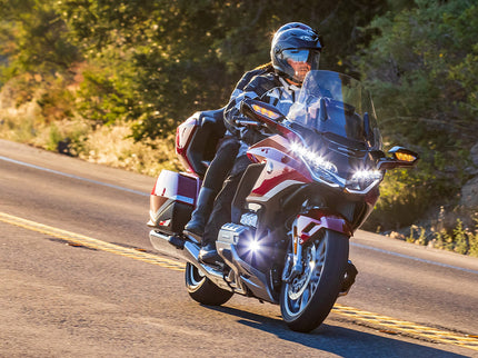 THE GOLDWING