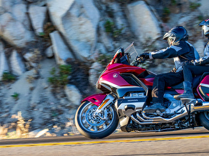 THE GOLDWING