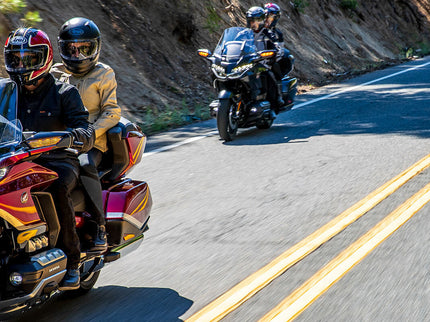THE GOLDWING