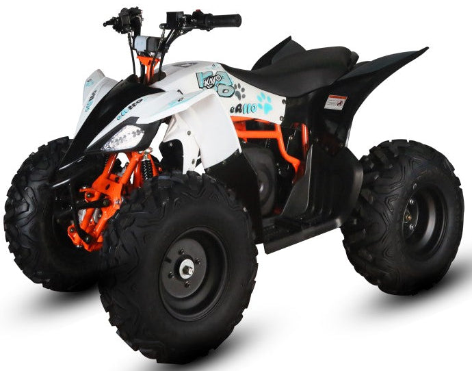 EA110
