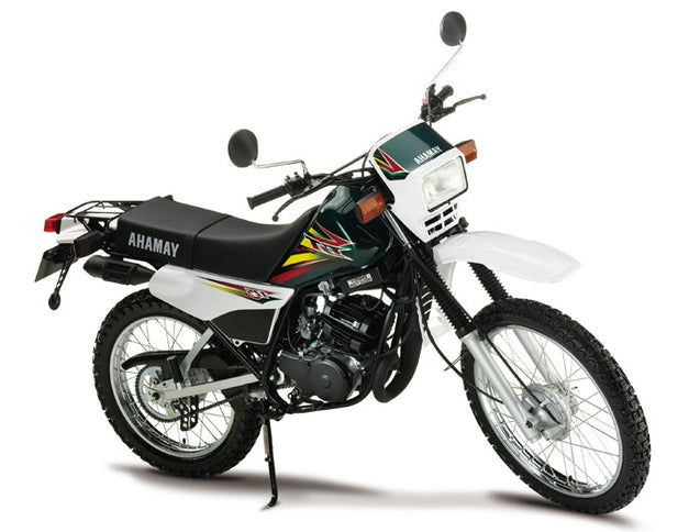 Yamaha 2025 DT 125 dual sport motorcycle with off-road tires, sporty design, and compact frame.
