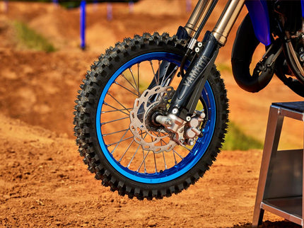 YZ65 2025